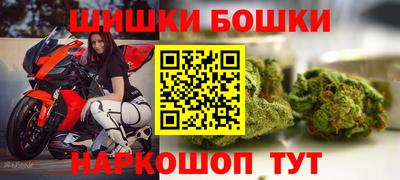 прущие грибы Нальчик