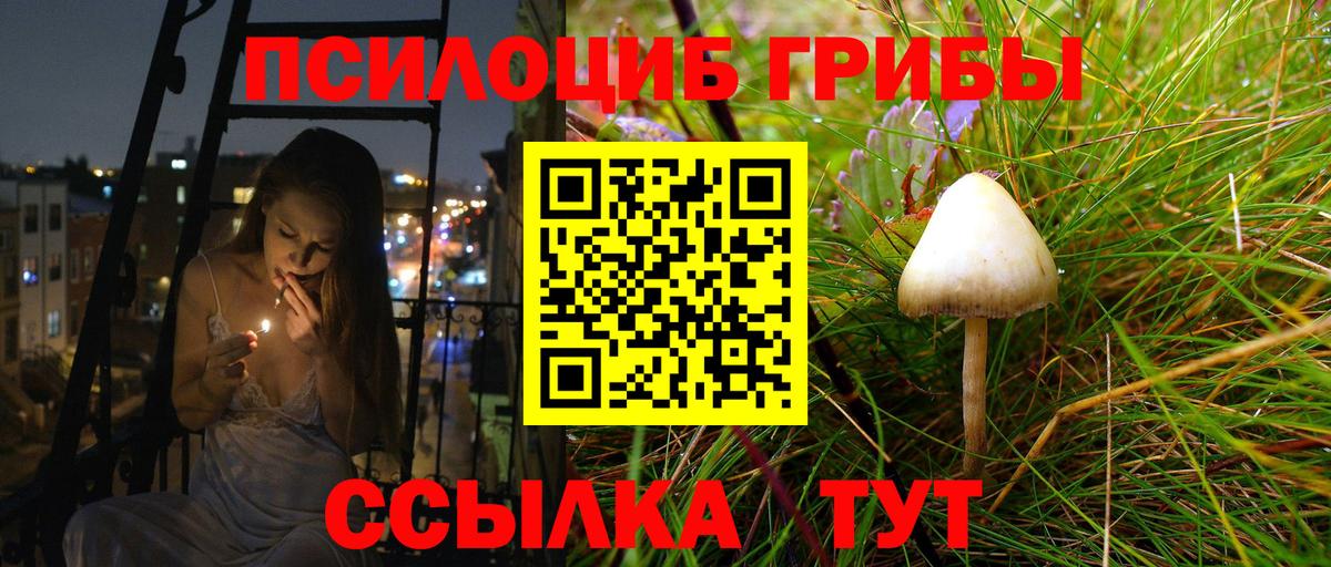 Псилоцибиновые грибы ЛСД Хасавюрт